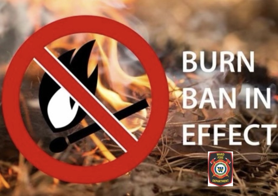 Picture of Burn Ban Flyer